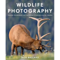 Wildlife Photography: Proven Techniques for Capturing Stunning Digital Images - Paperback