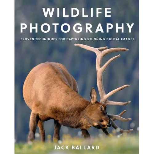 Wildlife Photography: Proven Techniques for Capturing Stunning Digital Images - Paperback
