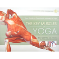 The Key Muscles of Yoga - Paperback