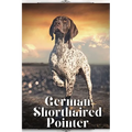 German Shorthaired Pointer: Dog breed overview and guide - Paperback