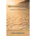 Beginning's End - Paperback