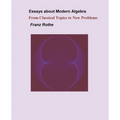 Essays about Modern Algebra - Paperback