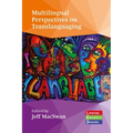 Multilingual Perspectives on Translanguaging - Paperback