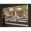 Roxy Paine: The Dioramas - Hardcover