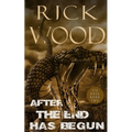 After the End Has Begun - Paperback