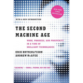 The Second Machine Age: Work, Progress, and Prosperity in a Time of Brilliant Technologies - Paperback