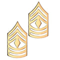 U.S. Army E8 (2) First Sergeant STA-BRITE® Pin-on Rank (pair)
