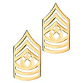 U.S. Army E9 (2) Command Sergeant Major STA-BRITE® Pin-on Rank (pair)
