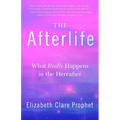 The Afterlife: What Really Happens in the Hereafter - Paperback
