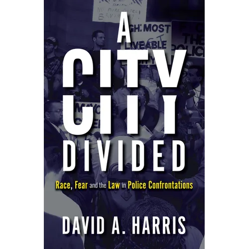 A City Divided: Race, Fear and the Law in Police Confrontations - Paperback