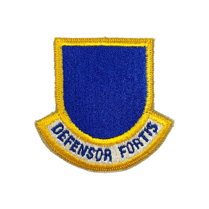 Air Force Beret Flashes