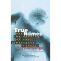 True Names: And the Opening of the Cyberspace Frontier - Paperback