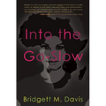 Into the Go-Slow - Paperback