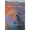 The Things I Notice Now - Paperback