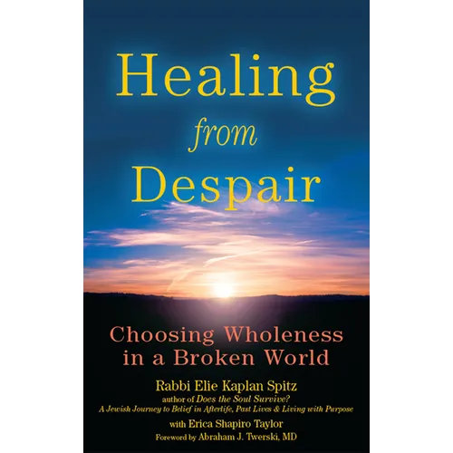 Healing from Despair: Choosing Wholeness in a Broken World - Paperback