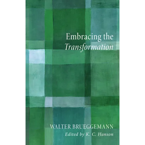 Embracing the Transformation - Paperback