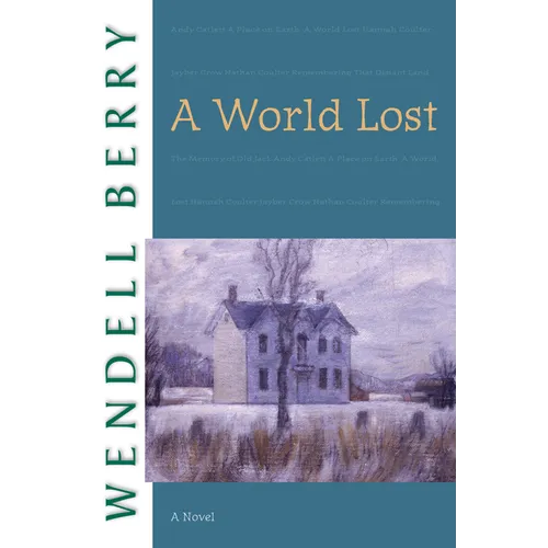 A World Lost - Paperback