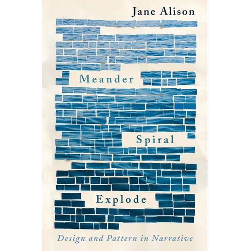 Meander, Spiral, Explode: Design and Pattern in Narrative - Paperback