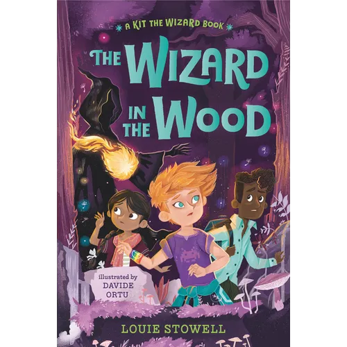 The Wizard in the Wood - Hardcover