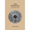 Little Blasphemies: and Other Observations - Paperback