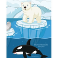 Marine Mammals Coloring Book 1 - Paperback