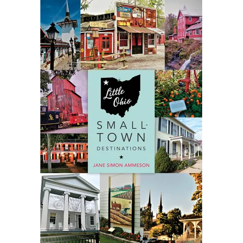 Little Ohio: Small-Town Destinations - Paperback