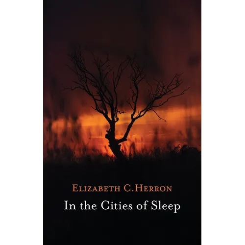 In the Cities of Sleep - Paperback