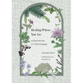 Healing Where You Are: an Introduction to Urban Foraging - Paperback