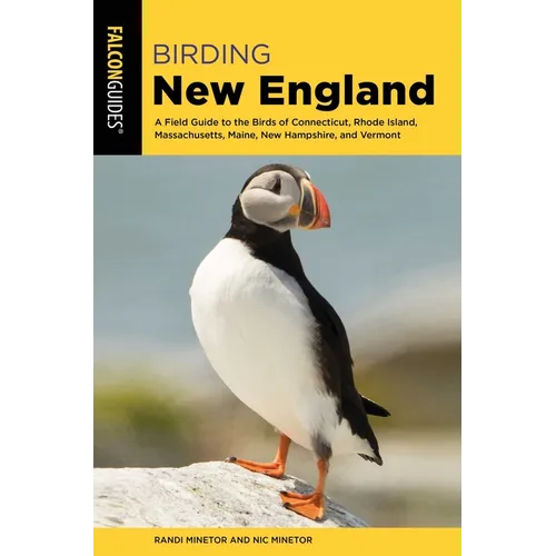 Birding New England - Paperback