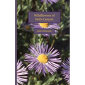 Wildflowers of Hells Canyon - Paperback