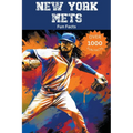 New York Mets Fun Facts - Paperback
