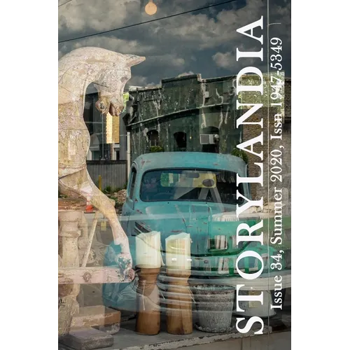 Storylandia, Issue 34: The Distance Between Here and Elsewhere: Three Stories - Paperback