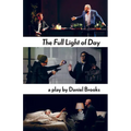 The Full Light of Day - Paperback