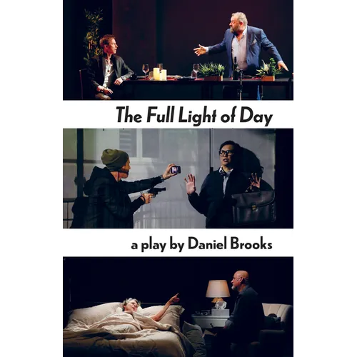 The Full Light of Day - Paperback