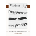 You Are the Phenomenology - Paperback