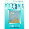 A Little Course in Dreams - Paperback