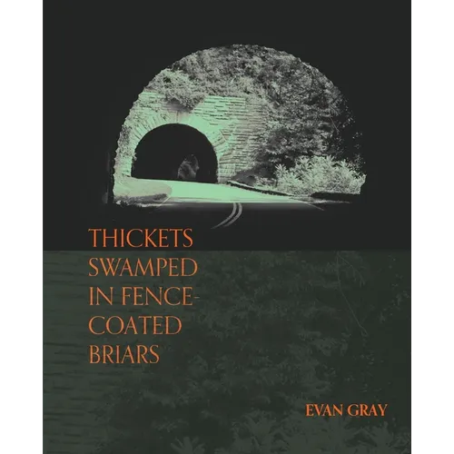 Thickets Swamped in Fence-Coated Briars - Paperback