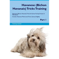 Havanese (Bichon Havanais) Tricks Training Havanese Tricks & Games Training Tracker & Workbook. Includes: Havanese Multi-Level Tricks, Games & Agility - Paperback