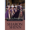 Echo in Amethyst - Paperback