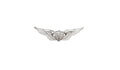 U.S. Army Flight Surgeon Basic Dress Mini STA-BRITE® Pin On Badge