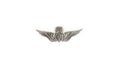 U.S. Army Flight Surgeon Master Dress Mini STA-BRITE® Pin On Badge