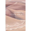 Hidden in Plain Sight: Finding a Seemingly Hidden God - Paperback