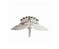 U.S. Army Military Free Fall Parachutist Halo (Basic) Dress Mini STA-BRITE® Pin On Badge