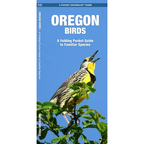 Oregon Birds: A Folding Pocket Guide to Familiar Species