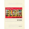 Vintage Lined Notebook Greetings from Elgin, Illinois - Paperback