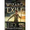 Wizard in Exile - Hardcover