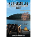 A Different Life: An Adirondack Justice Story Book 1 - Paperback