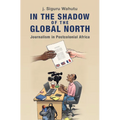In the Shadow of the Global North - Hardcover