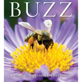 Buzz: A Book of Happiness for Bee Lovers - Paperback