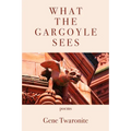 What the Gargoyle Sees - Paperback
